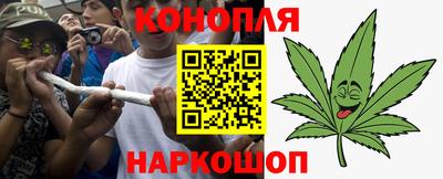jwh Будённовск