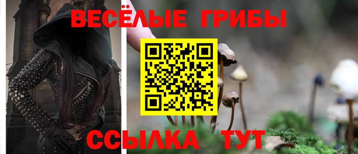 Псилоцибиновые грибы GOLDEN TEACHER Саранск
