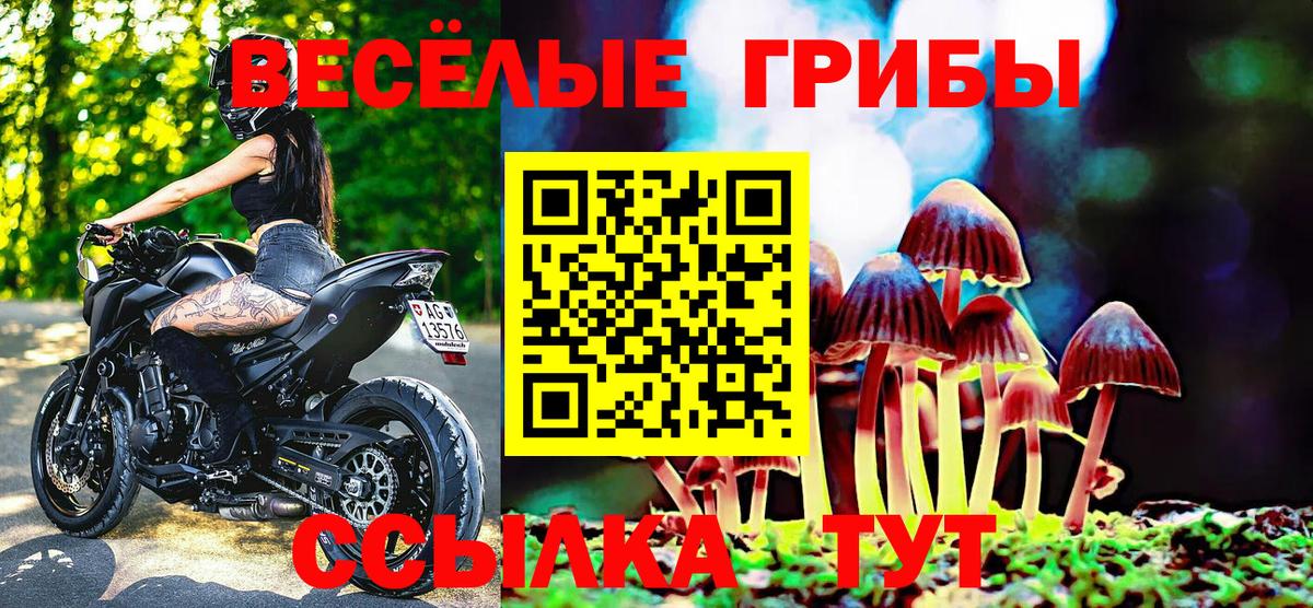 Галлюциногенные грибы ЛСД  Галлюциногенные грибы Magic Shrooms  Саранск  Вход с VPN 